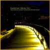 Essential Soul Collection, Vol. 2, 2010