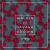 No Ordinary Love (Walden vs. Havana Brown) - Single album lyrics, reviews, download
