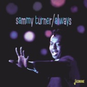 Sammy Turner - Raincoat in the River