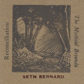 Seth Bernard - American Earth