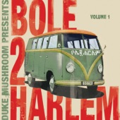 Bole 2 Harlem artwork