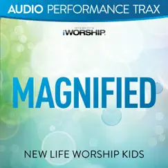 Magnified (feat. Jared Anderson) Song Lyrics