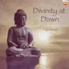 Divinity At Dawn album lyrics, reviews, download
