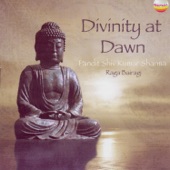 Divinity At Dawn artwork