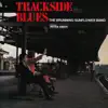 Trackside Blues (feat. Peter Green) album lyrics, reviews, download