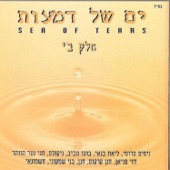 ים של דמעות artwork