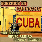 Los Rumberos de la Habana artwork