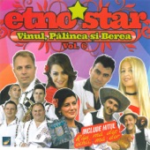 Etno Star, Vol. 6 (Vinul, Pălinca Şi Berea) artwork