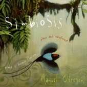 Simbiosis (Piano and Rain Forest) artwork