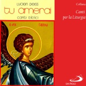 Collana canti per la liturgia: Tu amerai (Canti biblici) artwork