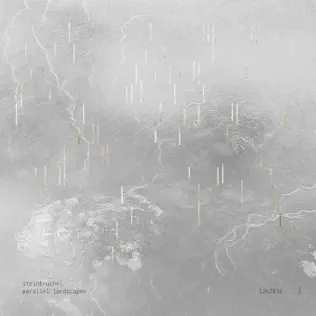 lataa albumi Steinbrüchel - Parallel Landscapes