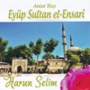 Eyüp Sultan El Ensari