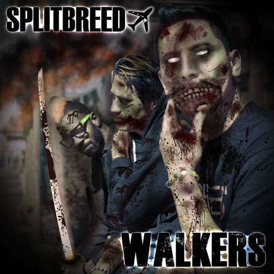 Cover artwork for Walkers