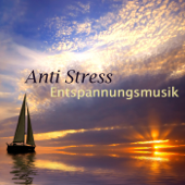 Anti Stress Entspannungsmusik - Klangtherapie und Meditationsmusik & New Age Hintergrundmusik mit Naturgeräusche und Soundeffekte - Entspannungsmusik Akademie