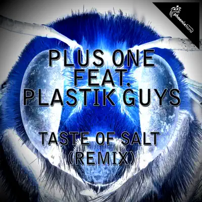 Taste of Salt (feat. Plastik Guys) [Remix] - Single - Plus One