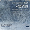 Marcel Ponseele & Il Gardellino - Cantata No. 146, "Wir müssen durch viel Trübsal", BWV 146: II. Chorus: "Wir müssen durch viel Trübsal in das Reich Gottes eingehen