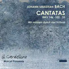 Bach: Cantatas 146, 33 & 103 by Il Gardellino & Marcel Ponseele album reviews, ratings, credits