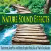 Nature Sound Effects: Thunderstorms, Ocean Waves With Dolphins, Humpback Whales, Rain and Wind for Deep Relaxation album lyrics, reviews, download