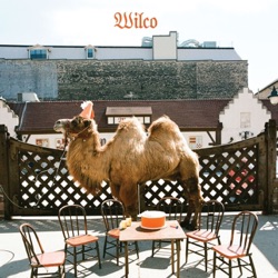 Wilco - Bull Black Nova