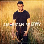 American Beauty artwork