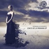 Mondello & Charlie P - Irish Pub (Radio Edit)