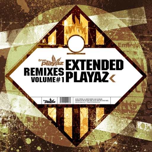 Extended Playaz, Vol. 1 (Remixes) - Single by Various Artists