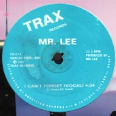 I Can't Forget by Mr. Lee