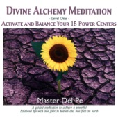 Divine Alchemy Level One: Activate and Balance Your 15 Power Centers artwork