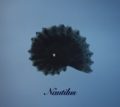 The Theme Of Nautilus artwork