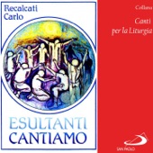 Collana canti per la liturgia: Esultanti cantiamo artwork