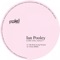 My Kicks (Vincenzo & Lovebirds Remix) - Ian Pooley lyrics