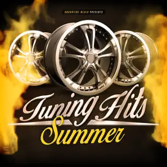 Tuning Hits Summer by Various Artists album reviews, ratings, credits