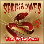 Year of the Snake - Spiders & Snakes