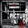 A Picture of Us (feat. Samavayo) - Single album lyrics, reviews, download