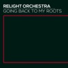 Going Back to My Roots - Single