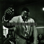 Le Stelle Del Blues artwork