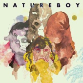 Natureboy artwork