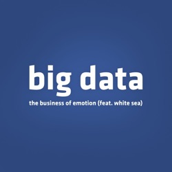 Big Data - The Business of Emotion (feat. White Sea)