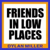 Friends in Low Places - Single album lyrics, reviews, download