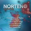 Norteño: 20 Éxitos, El Costal Lleno de Piedras, Amor Fingido, Los Años Que Yo Tengo, Caminos de la Vida, Alma Enamorada, Este Tristeza Mia