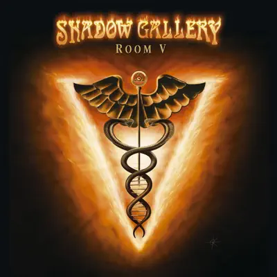 Room V - Shadow Gallery