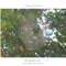 Mr Spider 6-06 - from 
