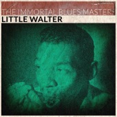 The Immortal Blues Masters (Remastered) artwork
