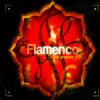 Flamenco New Grooves