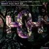 Stream & download What You Say