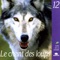 Deux loups isolés - Nature Sounds - Sons de la nature lyrics