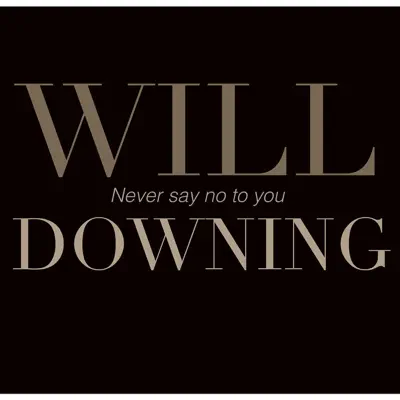 Never Say No to You - Single - Will Downing