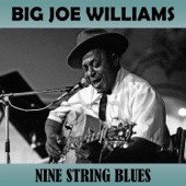 Big Joe Williams - I Done Stop Hollering