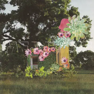HOME EVERYWHERE - DELUXE EDITION - Medicine HOME EVERYWHERE - DELUXE EDITION - Medicine