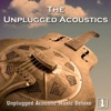 The Unplugged Acoustics - Running On Faith